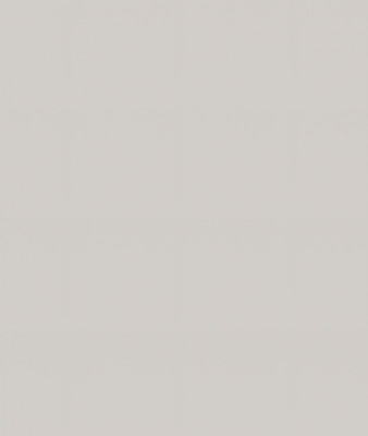 Ф-222 Альфа Фальшпанель (ШВТ 200*920) холст белый