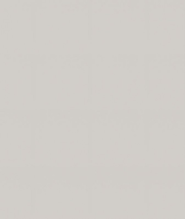 Ф-231 Альфа Фальшпанель (ШВ 300х920 - ШВ 800х920) холст белый