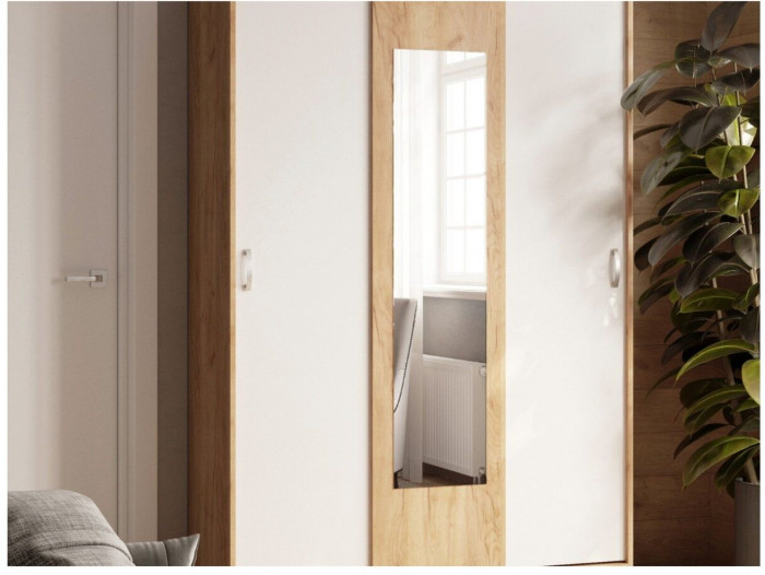 Шкаф-купе Басятэкс, белый/дуб крафт золотой