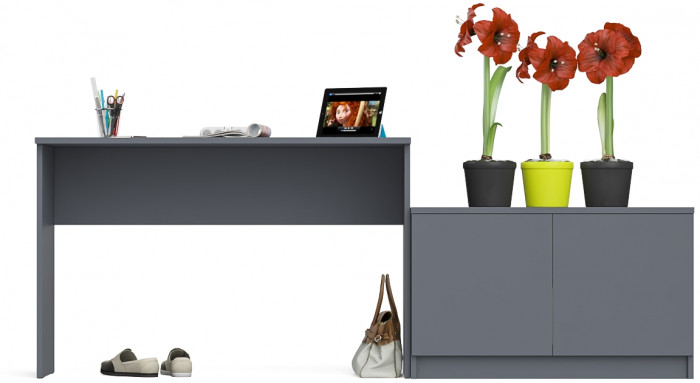 Мори письменный стол МСП1200.1 + Тумба МА900.1, графит