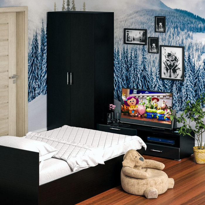 Спальня Стандарт 3-1200, венге/фасады ТВ тумбы МДФ чёрный глянец
