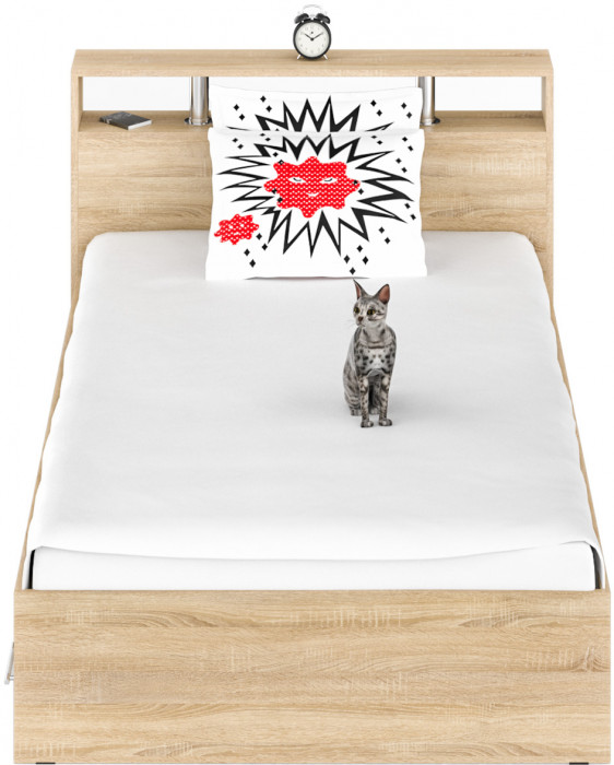 Камелия Кровать с ящиками 1200, цвет дуб сонома, ШхГхВ 123,5х217х78,2 см., сп.м. 1200х2000 мм., без матраса, основание есть